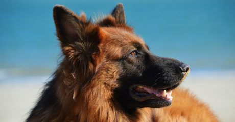 FOTO INICIO SERVICIOS