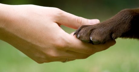 foto inicio nuestra filofia (1)