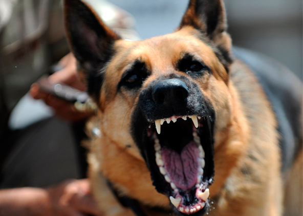 SESIONES PARA PROBLEMAS DE COMPORTAMIENTO